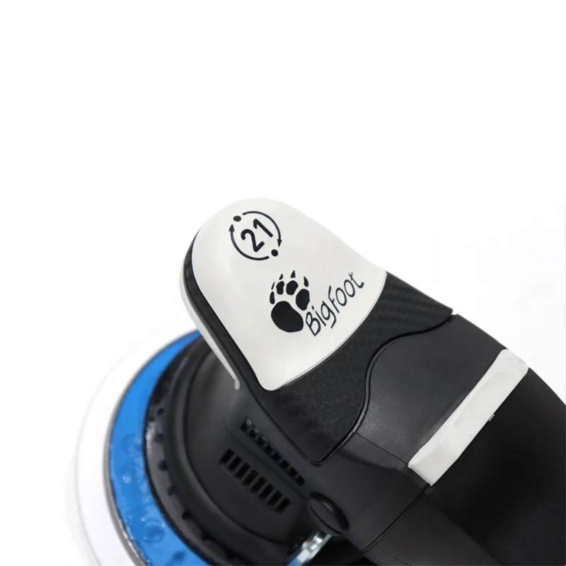RUPES LHR21III Big Foot Random - Orbital Polisher Da review and price